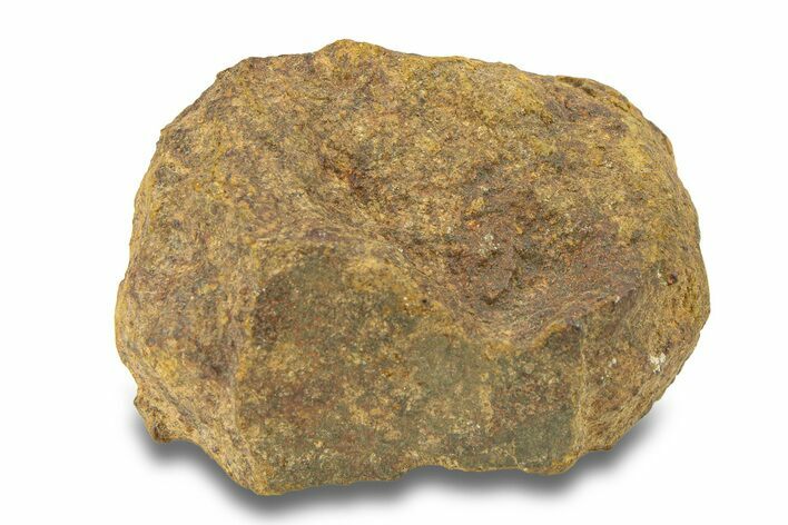 Gold Basin Chondrite Meteorite ( g) - Arizona #282762